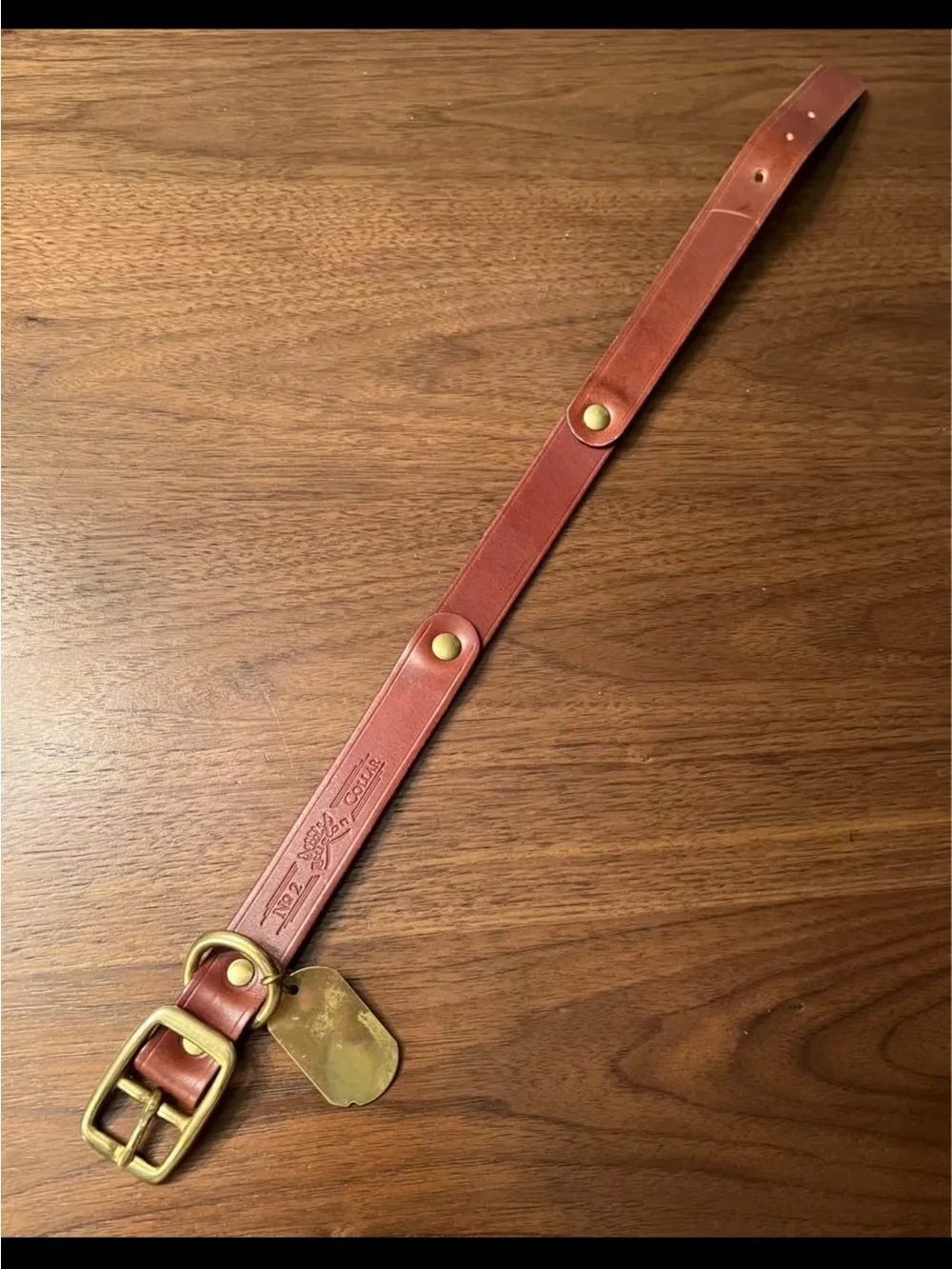 Leather & Brass Collar